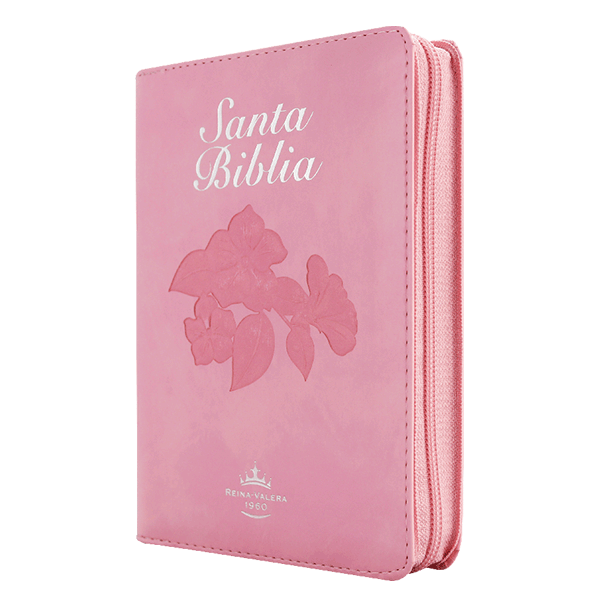 Biblia Fuente de Bendiciones Reina Valera 1960 Chica Letra Mediana Imitación Piel Rosa [RVR046cLMFBTIZ]