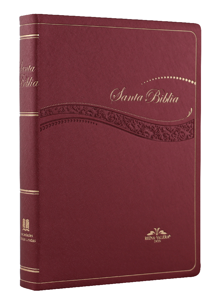 Biblia Reina Valera 1909 Mediana Letra Chica Vinil Vino [VR052]