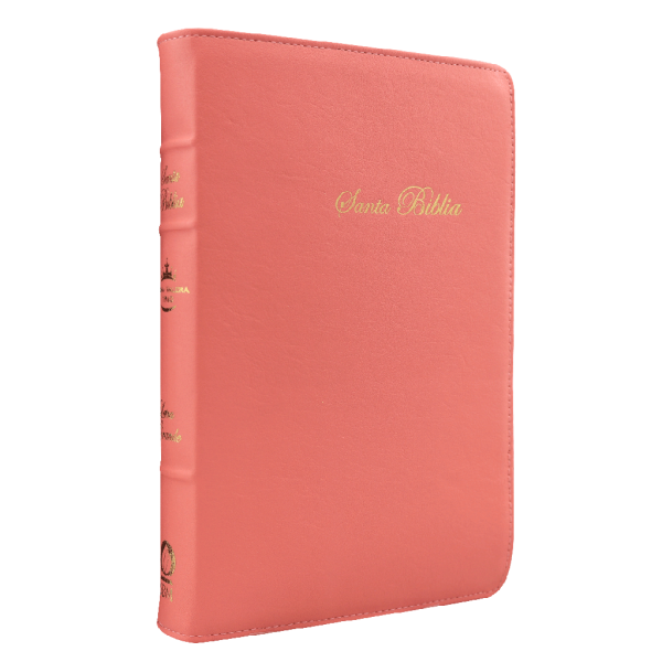 Biblia Reina Valera 1960 Mediana Letra Grande Curpiel Rosa Palo [RVR066cLGPJRTI]