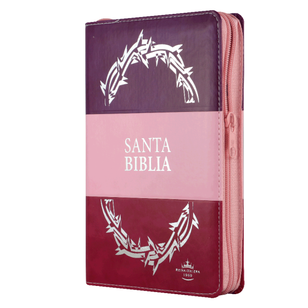 Biblia Reina Valera 1960 Mediana Letra Grande Imitación Piel Morado Rosa [RVR066cLGPJRTIZABS]