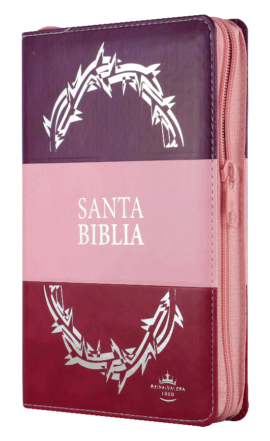 Biblia Reina Valera 1960 Mediana Letra Grande Imitación Piel Morado Rosa [RVR066cLGPJRTIZABS]