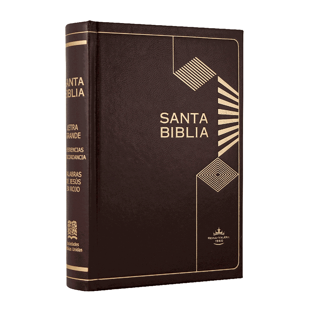 Biblia Reina Valera 1960 Chica Letra Mediana Tapa Dura Café [RVR043cLGPJRMDM]