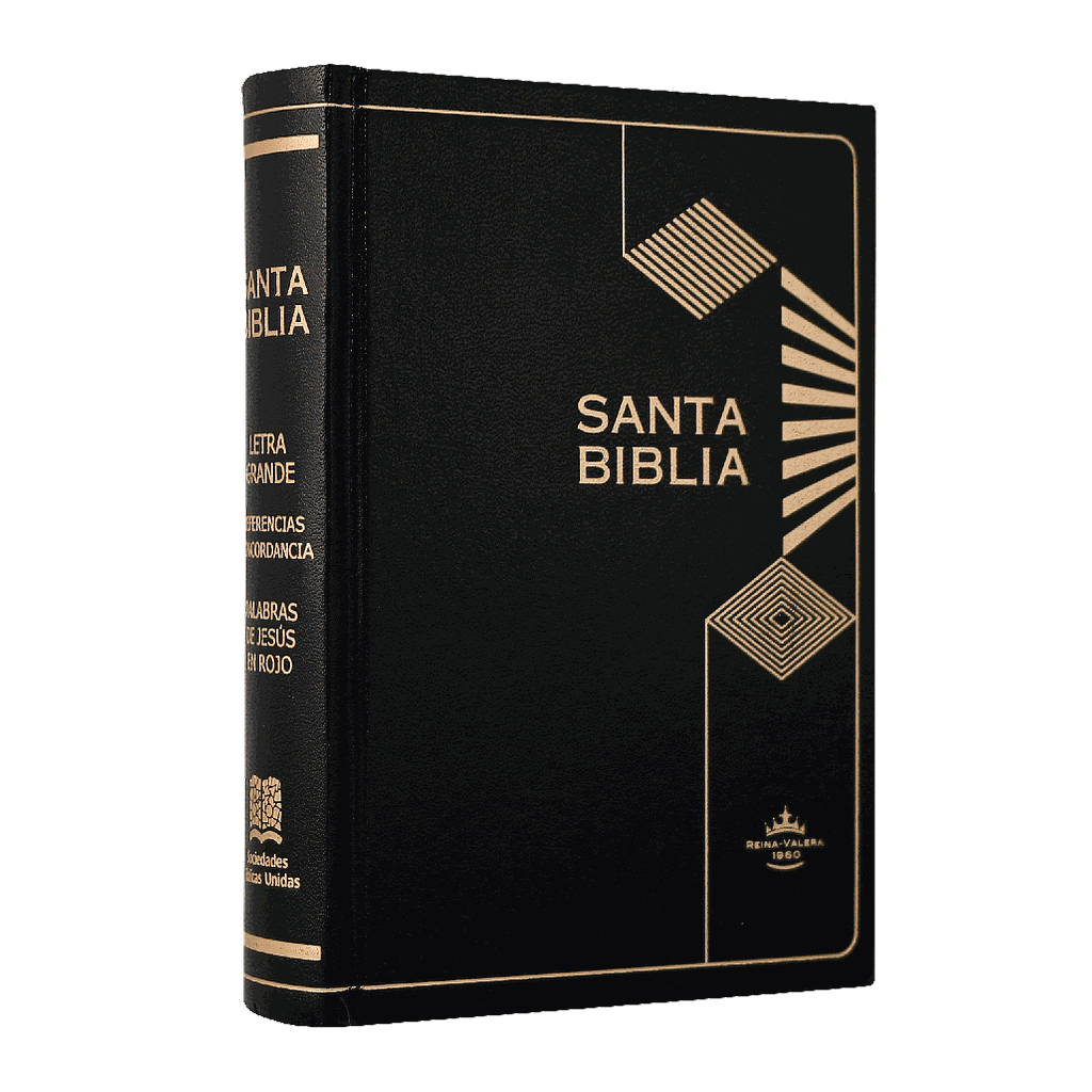 Biblia Reina Valera 1960 Chica Letra Chica Tapa Dura Negro [RVR043cLGPJRMDM]