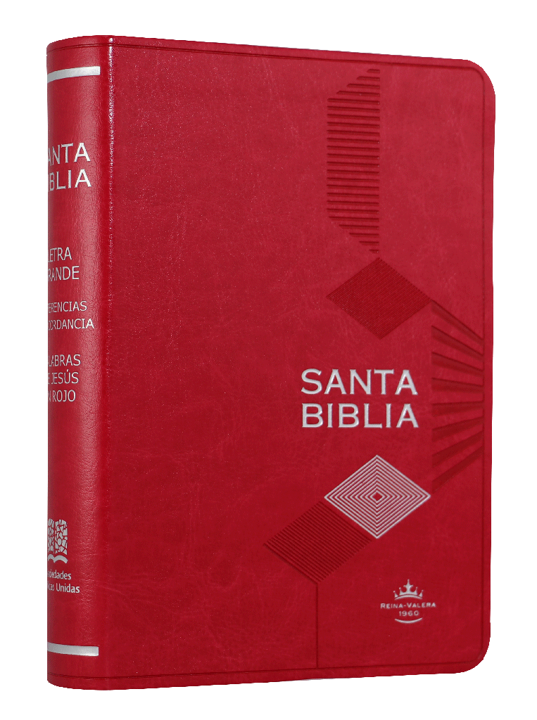 Biblia Reina Valera 1960 Chica Letra Mediana Imitación Piel Rosa [RVR045cLGPJRMDM]