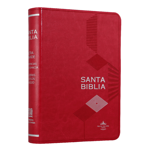 Biblia Reina Valera 1960 Chica Letra Mediana Imitación Piel Rosa [RVR045cLGPJRMDM]