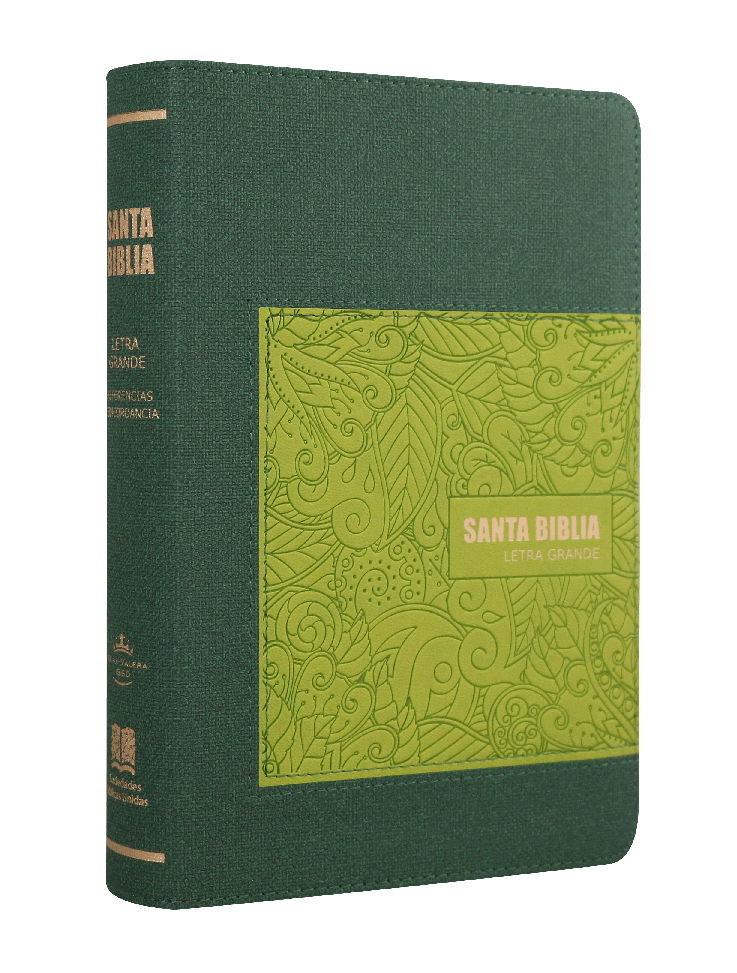 Biblia Reina Valera 1960 Mediana Letra Grande Imitación Piel Verde [RVR065CLGHI]
