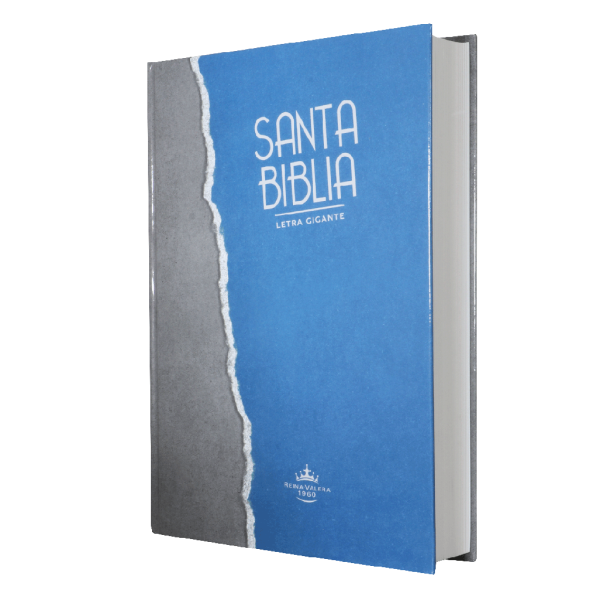 Biblia Reina Valera 1960 Grande Letra Gigante Tapa Dura Gris Azul Código QR [RVR083cLGiPJR]