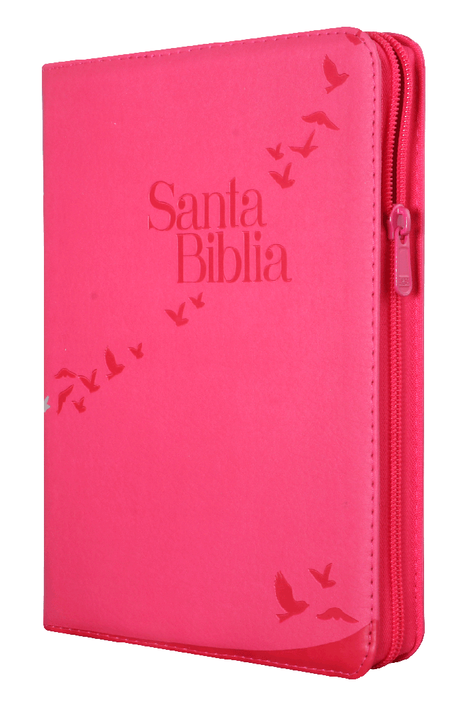 Biblia Reina Valera 1960 Grande Letra Gigante Imitación Piel Rosa Código QR [RVR086cZLGiPJR]