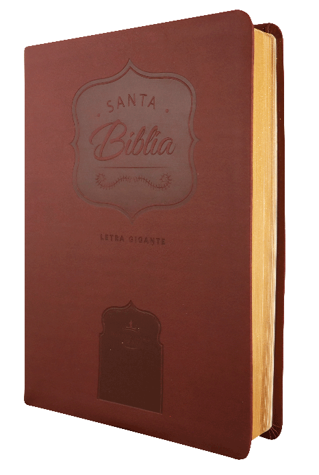 Biblia Reina Valera 1960 Grande Letra Gigante Imitación Piel Vino [RVR086cLGiPJR]