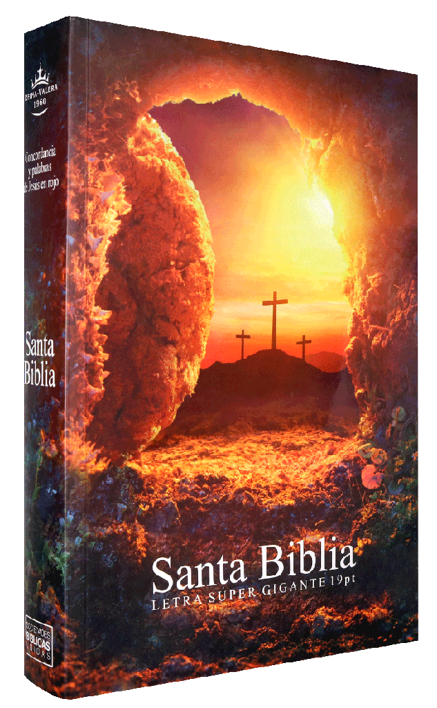 Biblia Reina Valera 1960 Grande Letra Supergigante Rústica Piedra [RVR080cLSGiPJR]