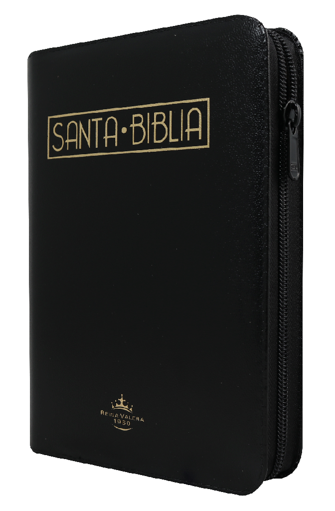 Biblia Reina Valera 1960 Chica Letra Mediana Imitación Piel Negro QR [RVR045cZLMaPJR]