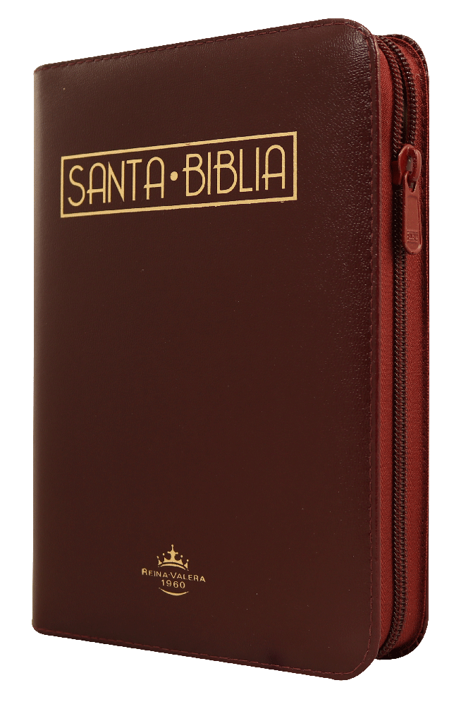 Biblia Reina Valera 1960 Mediana Letra Grande Imitación Piel Vino Tinto Código QR [RVR055cZTILGaPJR]