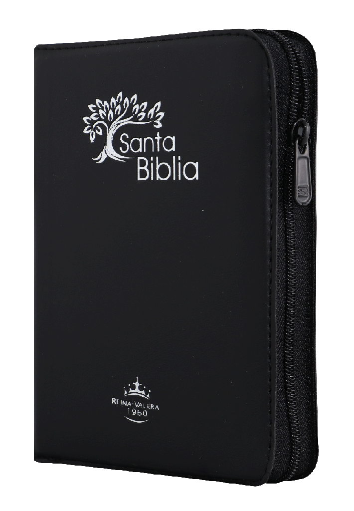 Biblia Reina Valera 1960 Chica Letra Mediana Vinil Negro [RVR042cZTILMPJR]