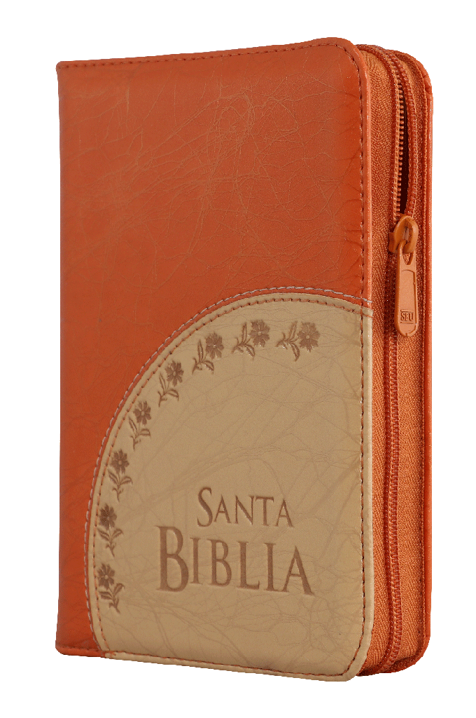 Biblia Reina Valera 1960 Chica Letra Mediana Imitación Piel Naranja Beige Código QR [RVR045cZLM]