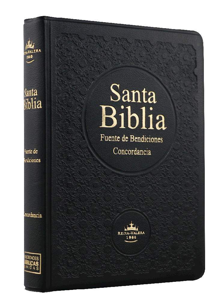 Biblia Fuente de Bendiciones Reina Valera 1960 Chica Letra Mediana Vinil Negro [RVR042cLMFBT]