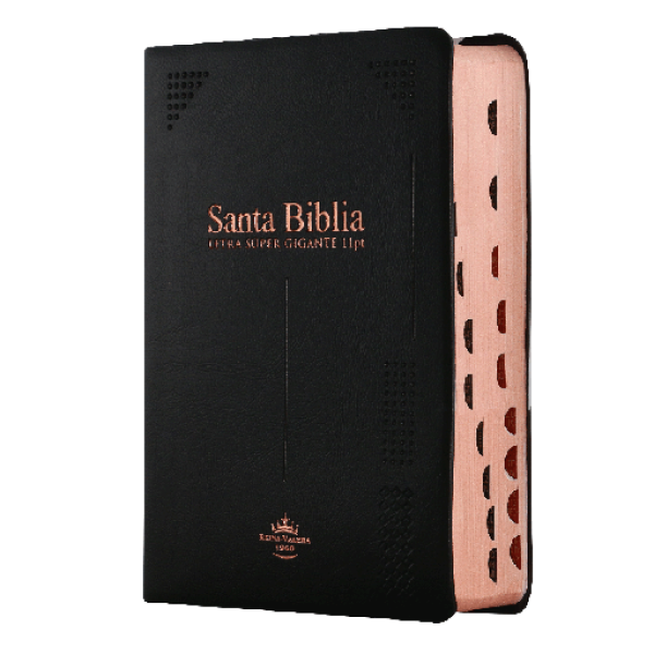 Biblia Reina Valera 1960 Chica Letra Grande Vinil Negro [RVR042cLGiPJRTI]