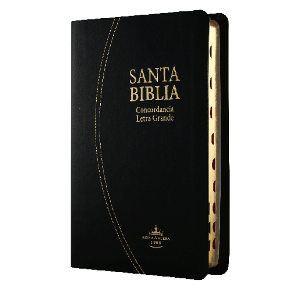 Biblia Reina Valera 1960 Mediana Letra Grande Imitación Piel Negro [RVR066cLGPJRTIABS]