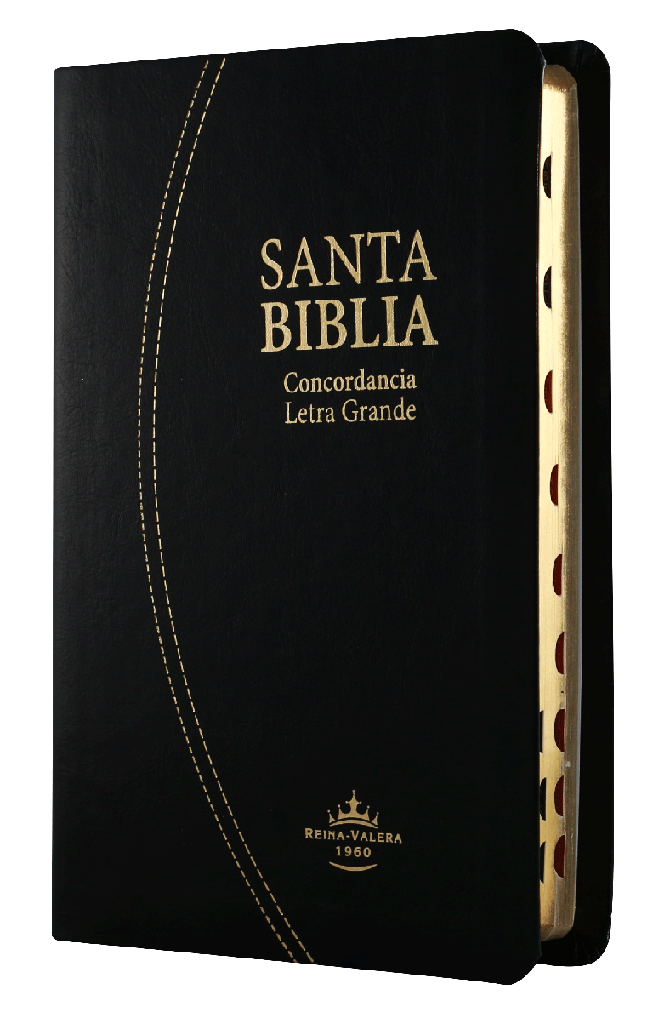 Biblia Reina Valera 1960 Mediana Letra Grande Imitación Piel Negro [RVR066cLGPJRTIABS]