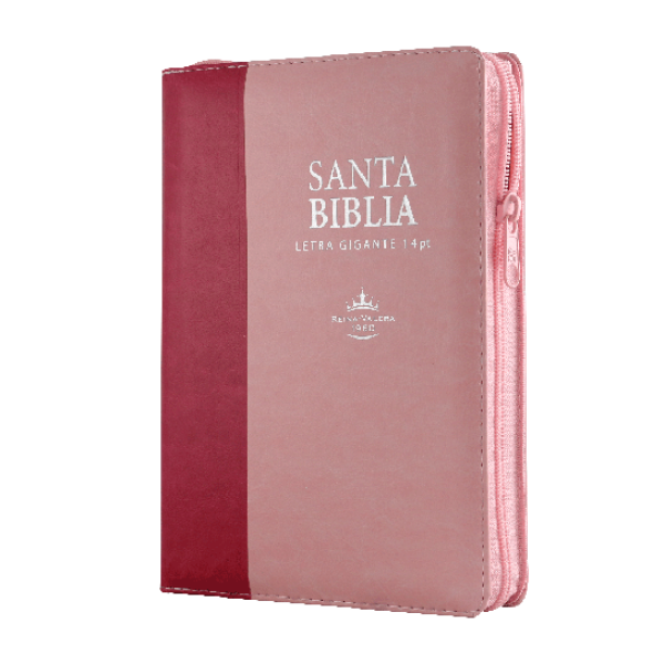Biblia Reina Valera 1960 Mediana Letra Gigante Imitación Piel Rosa/Rosa [RVR066cLSGiPJRZTI]