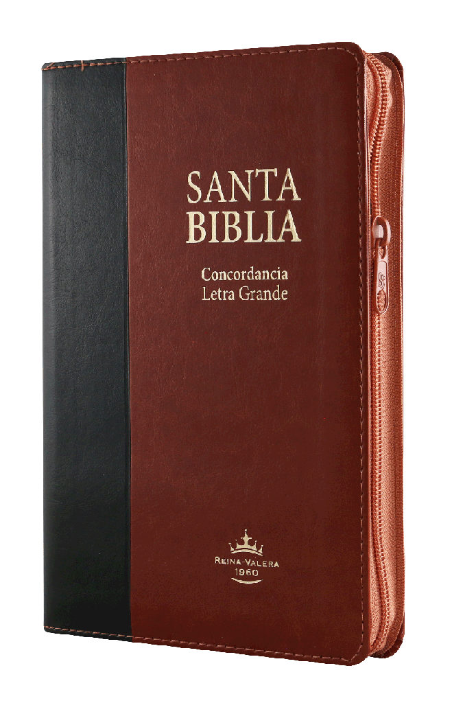 Biblia Reina Valera 1960 Mediana Letra Grande Imitación Piel Negro Marrón [RVR066cLGPJRTIZABS]