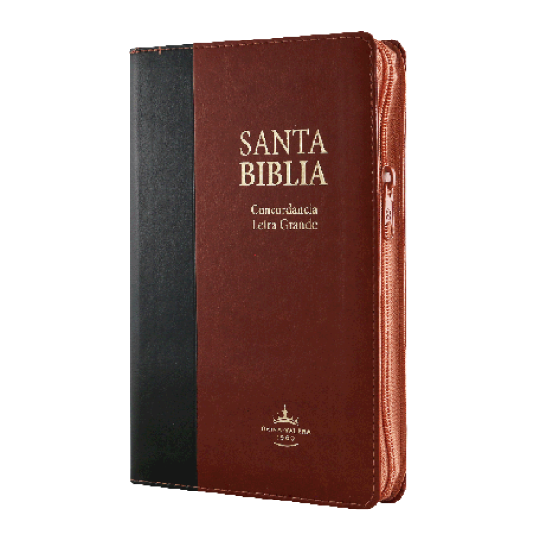 Biblia Reina Valera 1960 Mediana Letra Grande Imitación Piel Negro Marrón [RVR066cLGPJRTIZABS]