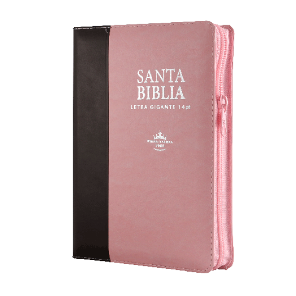 Biblia Reina Valera 1960 Mediana Letra Gigante Imitación Piel Rosa Marrón [RVR066cLSGiPJRZTI]