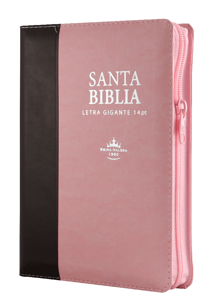 Biblia Reina Valera 1960 Mediana Letra Gigante Imitación Piel Rosa Marrón [RVR066cLSGiPJRZTI]