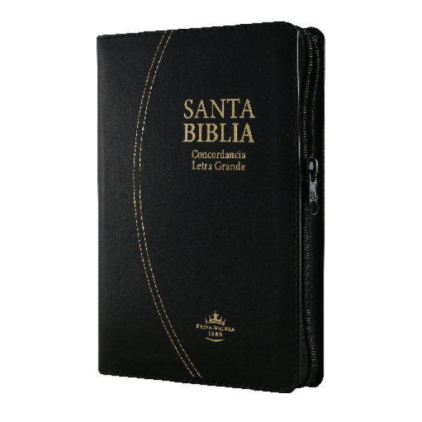 Biblia Reina Valera 1960 Mediana Letra Grande Imitación Piel Negro [RVR066cLGPJRTIZABS]