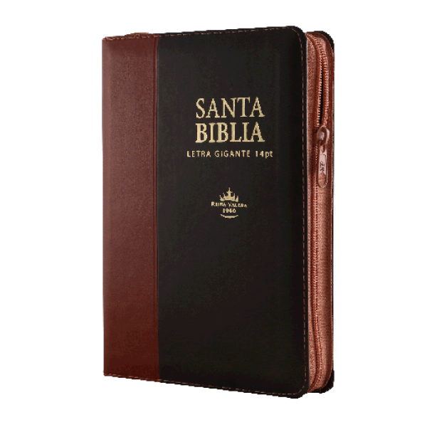 Biblia Reina Valera 1960 Mediana Letra Gigante Imitación Piel Marrón Café [RVR066cLSGiPJRZTI]