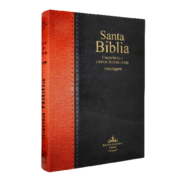 Biblia Reina Valera 1960 Grande Letra Gigante Rústica Negro Marrón [RVR080cLGiPJR]