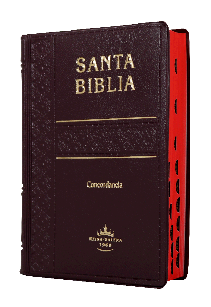 Biblia Reina Valera 1960 Tamaño Bolsillo Letra Chica Vinil Vino [RVR022cLGTI]