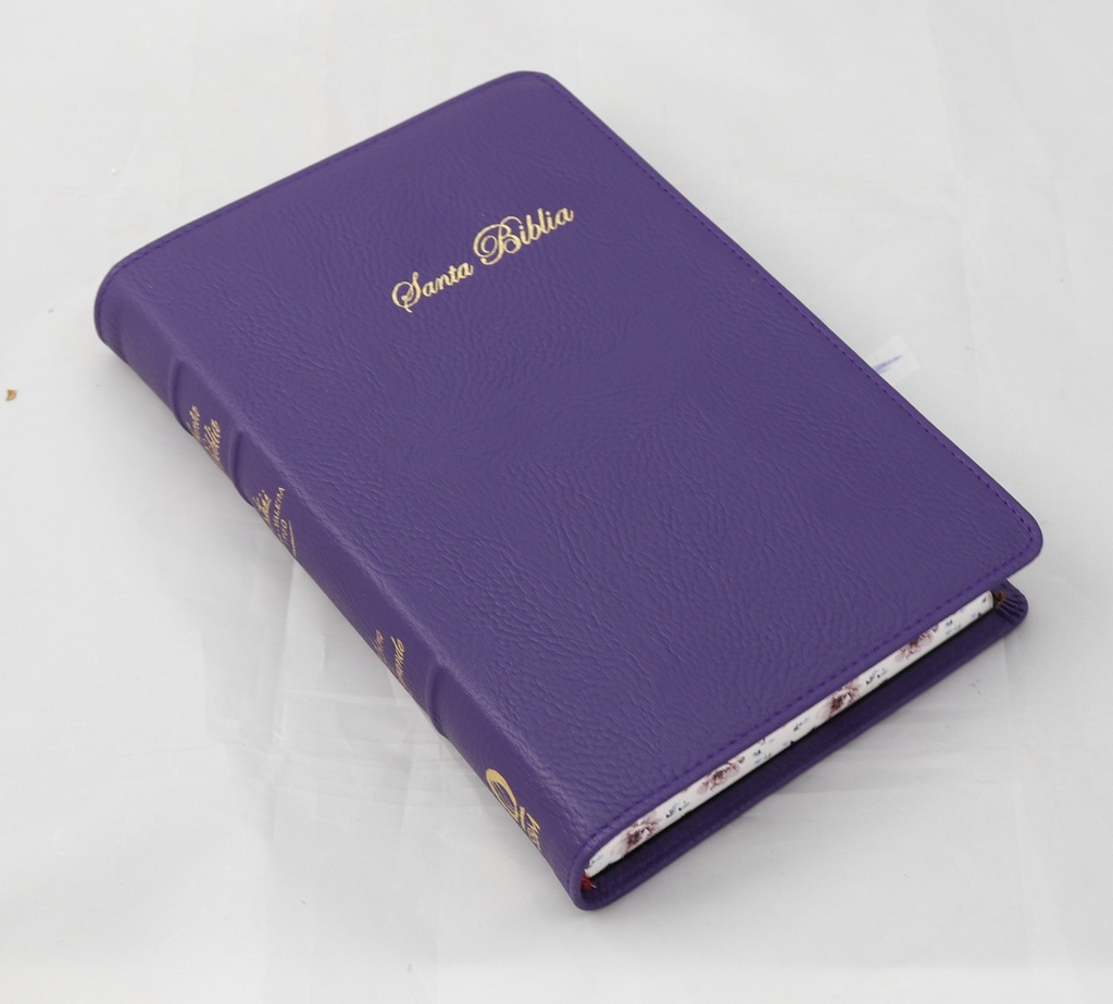 Biblia Reina Valera 1960 Mediana Letra Grande Curpiel Uva [RVR066cLGPJRTI]