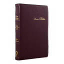 Biblia Reina Valera 1960 Mediana Letra Grande Morado Canto Floreado [RVR066cLPJRTI]