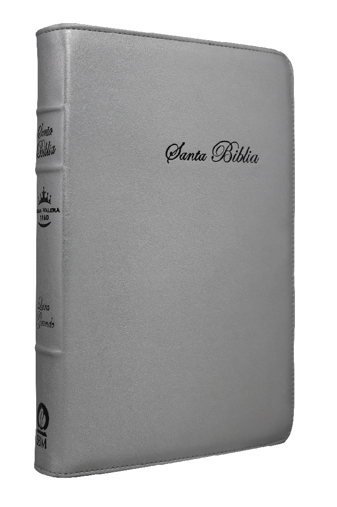 Biblia Reina Valera 1960 Mediana Letra Grande Curpiel Plata [RVR066cLGPJRTI]