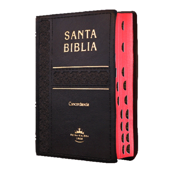 Biblia Reina Valera 1960 Tamaño Bolsillo Letra Chica Vinil Negro [RVR022cLGTI]