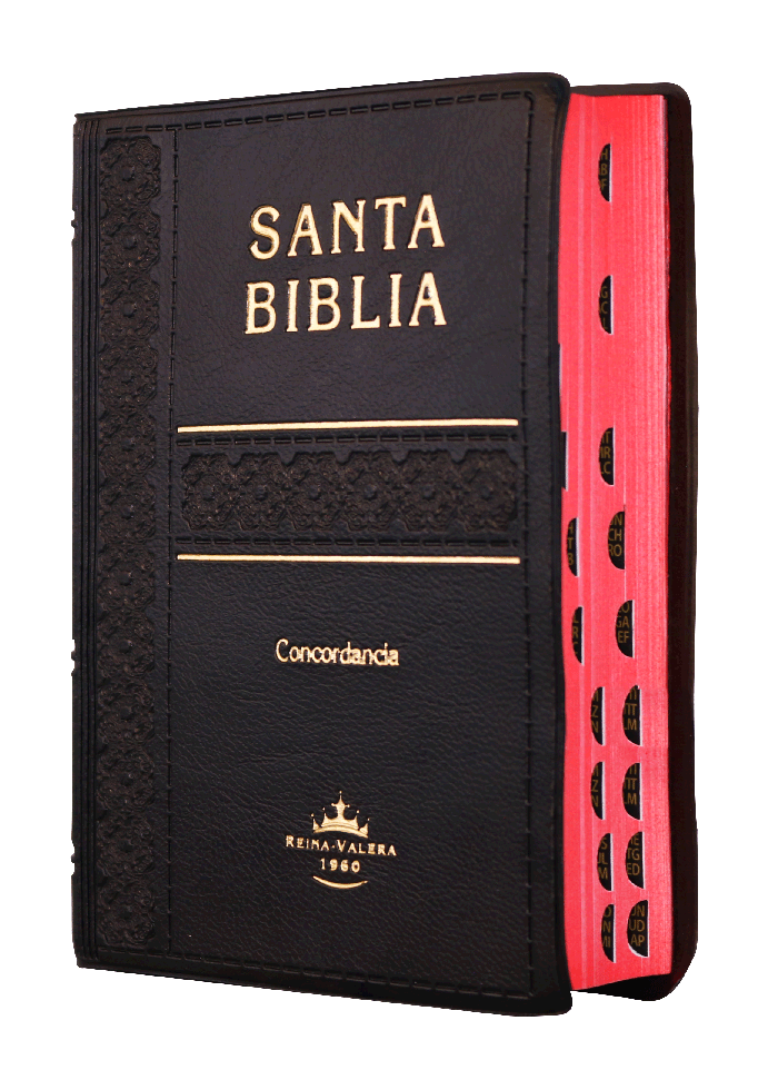 Biblia Reina Valera 1960 Tamaño Bolsillo Letra Chica Vinil Negro [RVR022cLGTI]