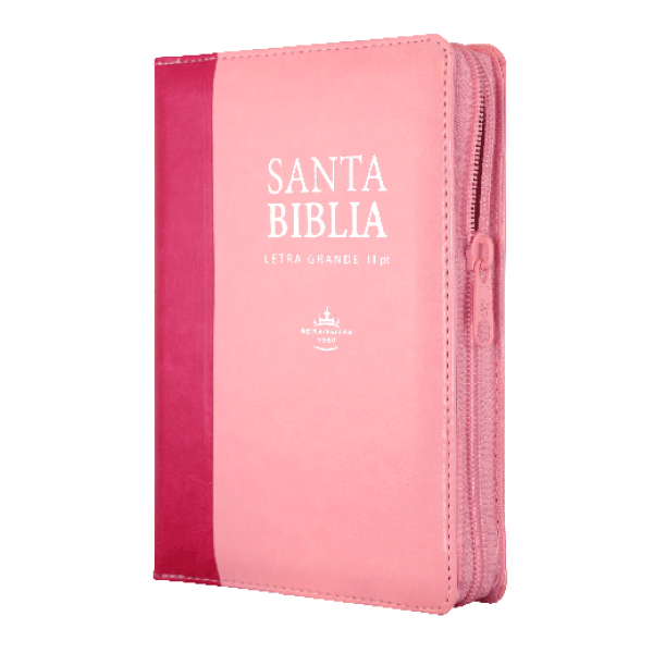 Biblia Reina Valera 1960 Chica Letra Grande Imitación Piel Rosa/Rosa [RVR046cLSGIPJRZTI]