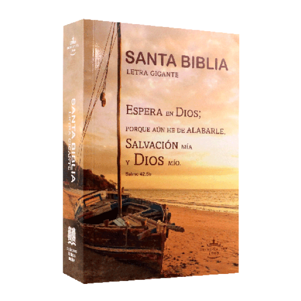 Biblia Reina Valera 1960 Mediana Letra Gigante Rústica (RVR60ecLGiPJR)