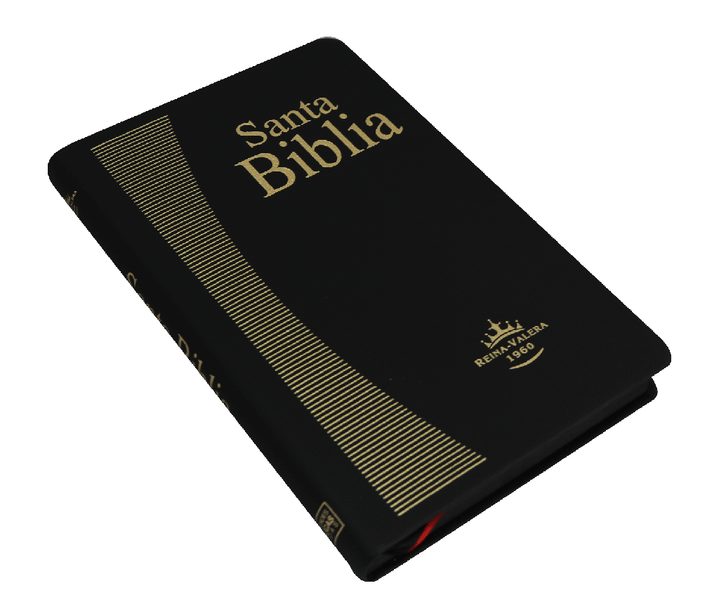 Biblia Reina Valera 1960 Mediana Tapa Covertex Negro [RVR065e-CHI]