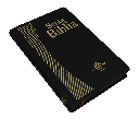 Biblia Reina Valera 1960 Mediana Tapa Covertex Negro [RVR065e-CHI]