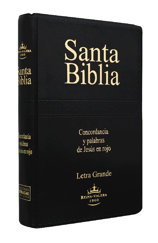 Biblia Reina Valera 1960 Letra Grande Negro [RVR062CLGPJR]