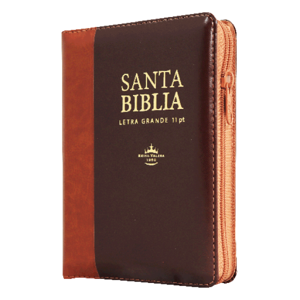 Biblia Reina Valera 1960 Letra Grande Café/Marrón [RVR046cLSGiPJRZTI]