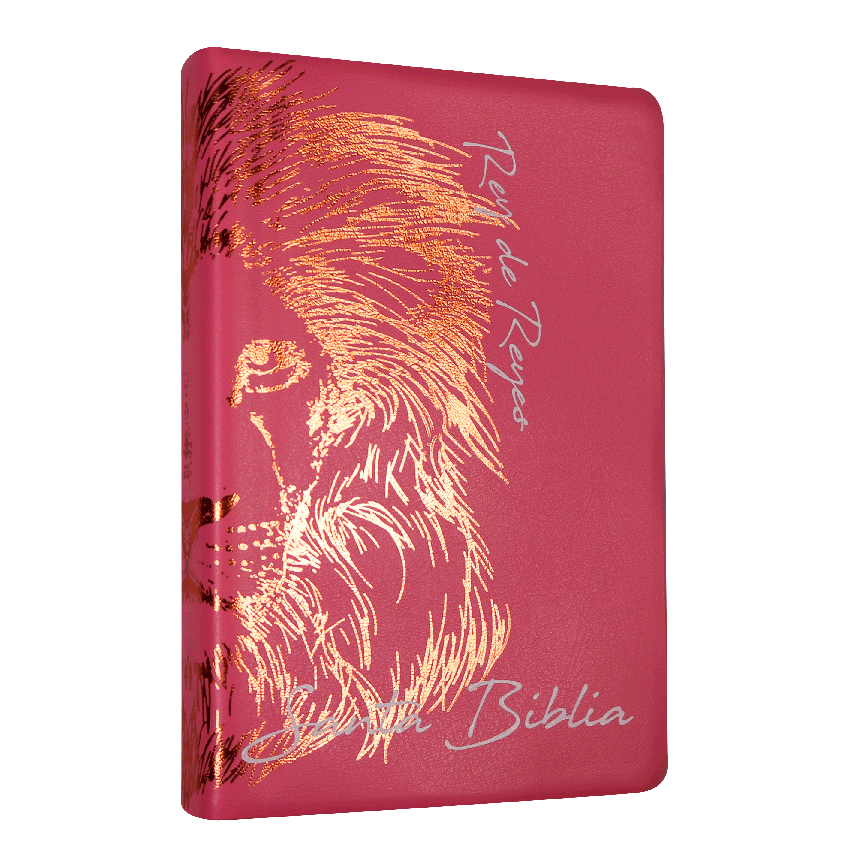 Biblia Reina Valera 1960 Letra Grande Rosa [RVR062cLGPJR]