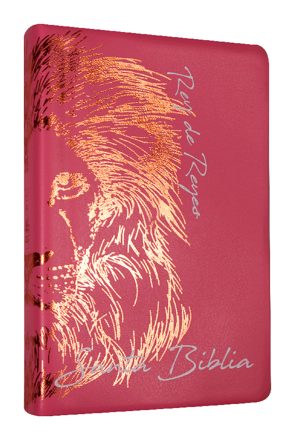 Biblia Reina Valera 1960 Letra Grande Rosa [RVR062cLGPJR]