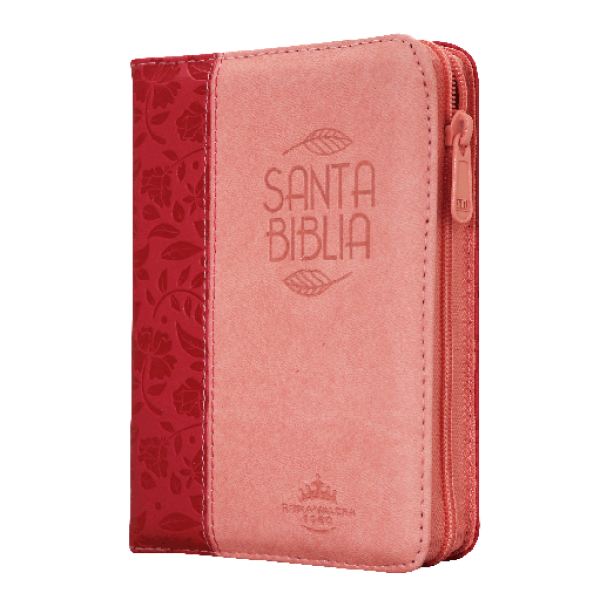 Biblia Reina Valera 1960 Bolsillo Letra Chica Imitación Piel Fucsia QR [RVR026cZTILM PJR]