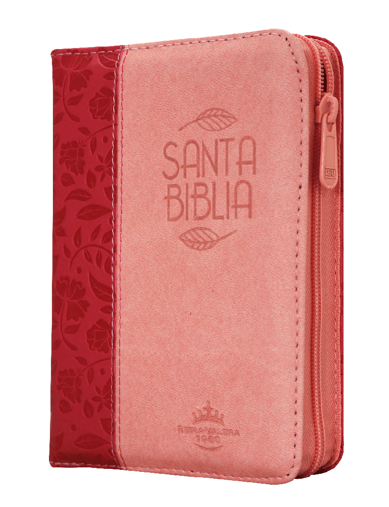 Biblia Reina Valera 1960 Bolsillo Letra Chica Imitación Piel Fucsia QR [RVR026cZTILM PJR]