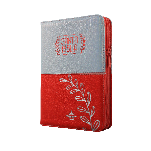 Biblia Reina Valera 1960 Mediana Letra Grande Imitación Piel Rosa Plateado QR [RVR056cZTILG PJR]