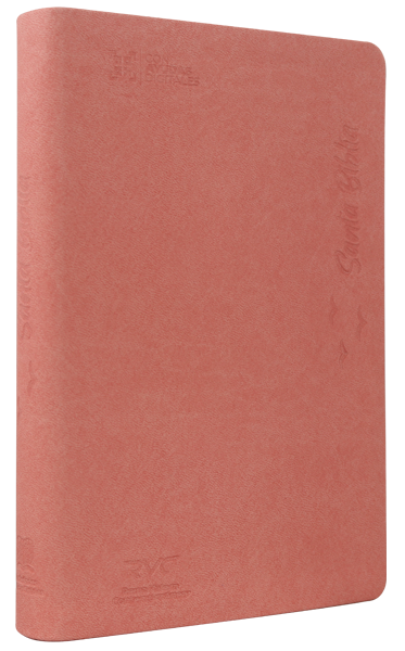 Biblia Reina Valera Contemporánea Mediana Letra Grande Imitación Piel Rosa QR [RVC066cLG PJR]