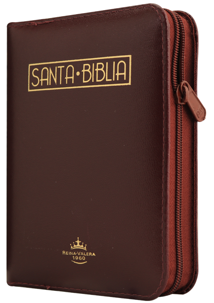 Biblia Reina Valera 1960 Mediana Letra Grande Imitación Piel Vino QR [RVR055cZLGa PJR]