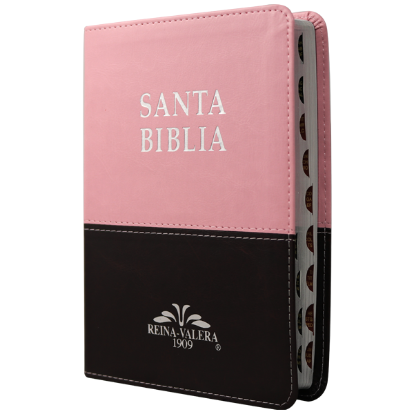 Biblia Reina Valera 1909 Mediana Rosa/Café VR055TI